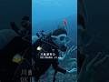 可愛い生き物たちとの遭遇🐠🤍 #川島海荷 #UmiLOG #shorts #vlog