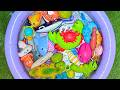 Ocean Animals For Kids &amp; Toddlers | Learn Ocean Animals with Educational Toys