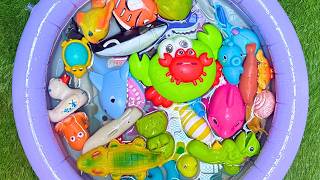Ocean Animals For Kids &amp; Toddlers | Learn Ocean Animals with Educational Toys