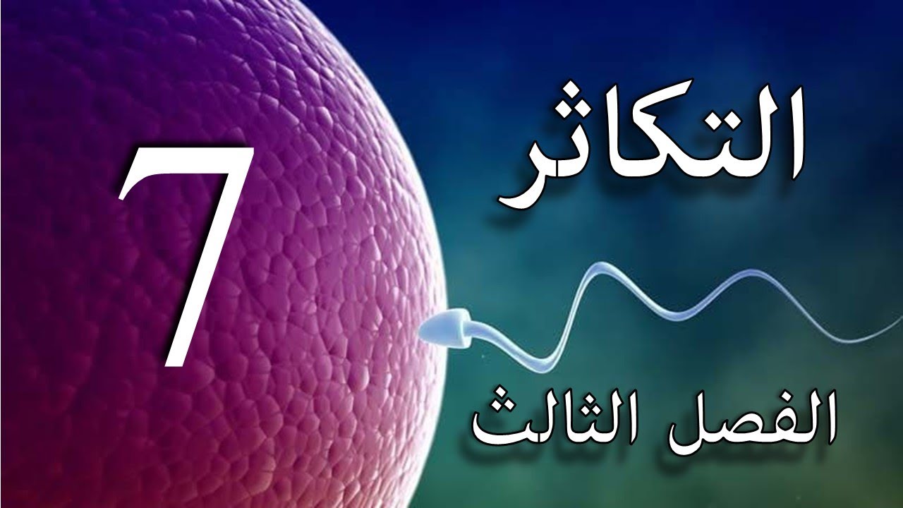 طريقة رسم الانشطار في البراميسيوم للسادس الاعدادي-الفصل الثالث