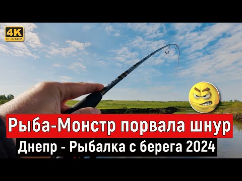 Рыба МОНСТР порвала шнур. Рыбалка с БЕРЕГА на ДНЕПРЕ 2024