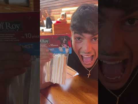 DOG TREAT PRANK!!  - #Shorts - DOG TREAT PRANK!!  - #Shorts