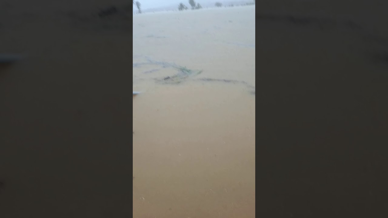 barangay Antao rescue during bagyong Auring