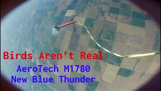 Birds Arent Real - AeroTech M1780 - AirFest 29