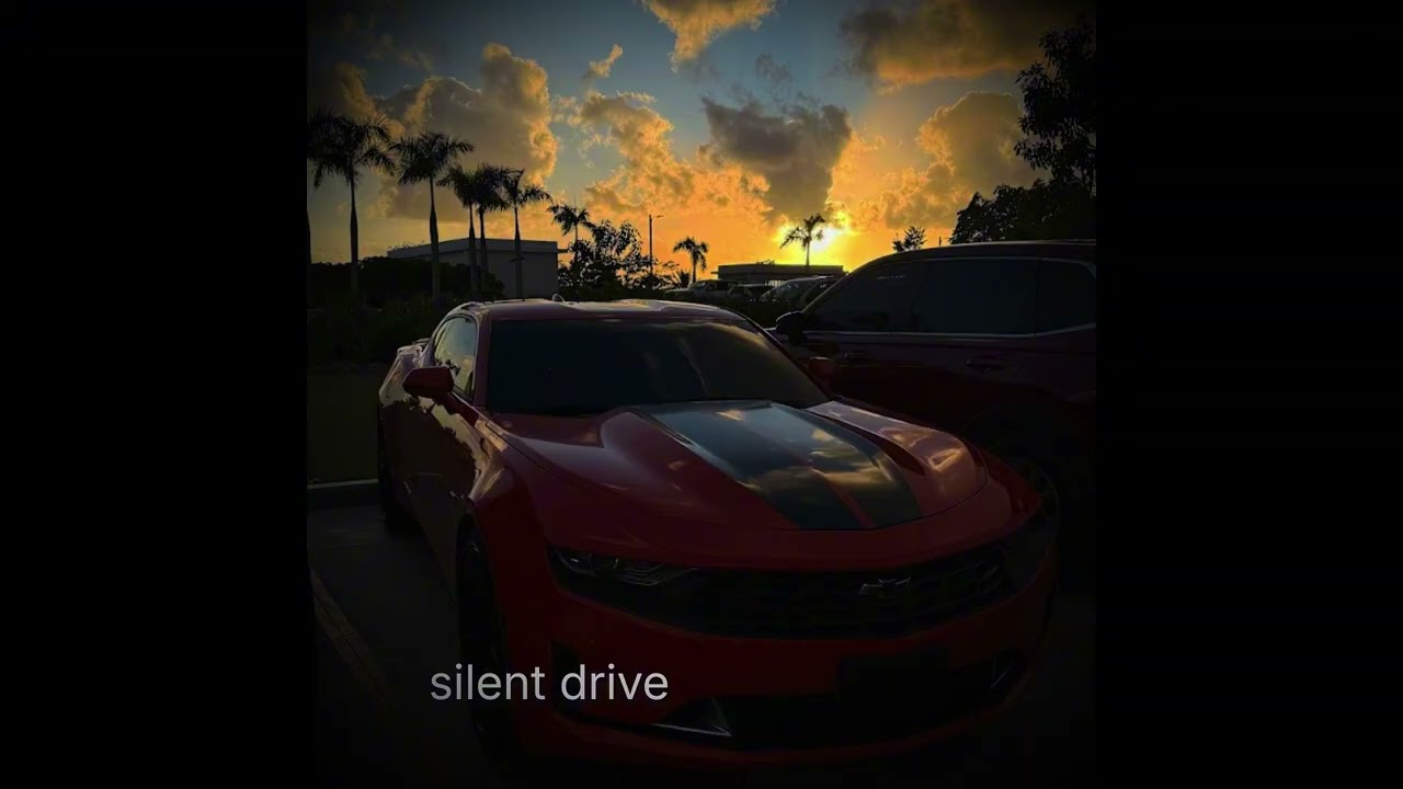 Steady Pulse: "Silent Drive"