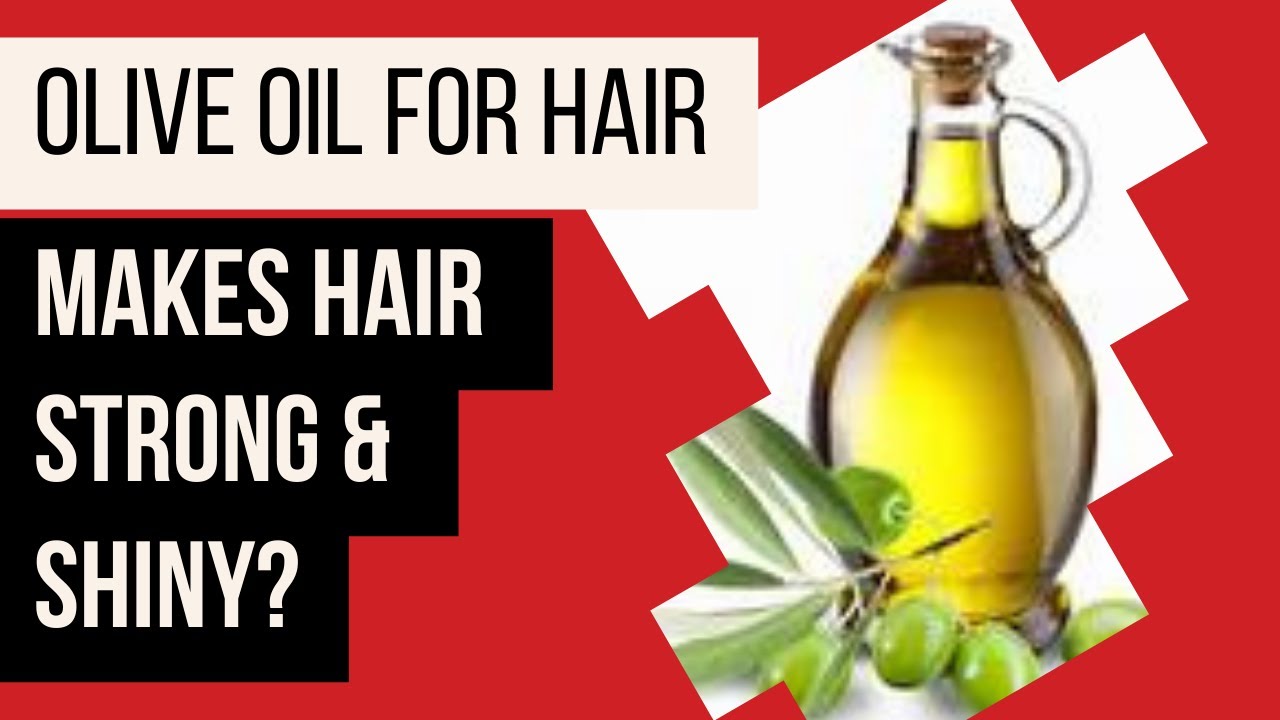 USING OLIVE OIL FOR HAIR CAN MAKE IT STRONG AND SHINY WATCH TO KNOW