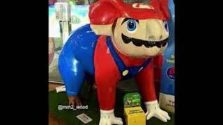 Mario 64 Soundtrack Cool, Cool Mountain Ear Rape