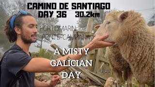 Portomarín - Ponte Campaña | Camino de Santiago