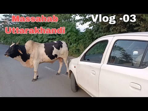 नंदी महाराज की मनमानी । 😄🙏Massahab Uttarakhandi , Vlog- 03 डेली ब्लॉग।