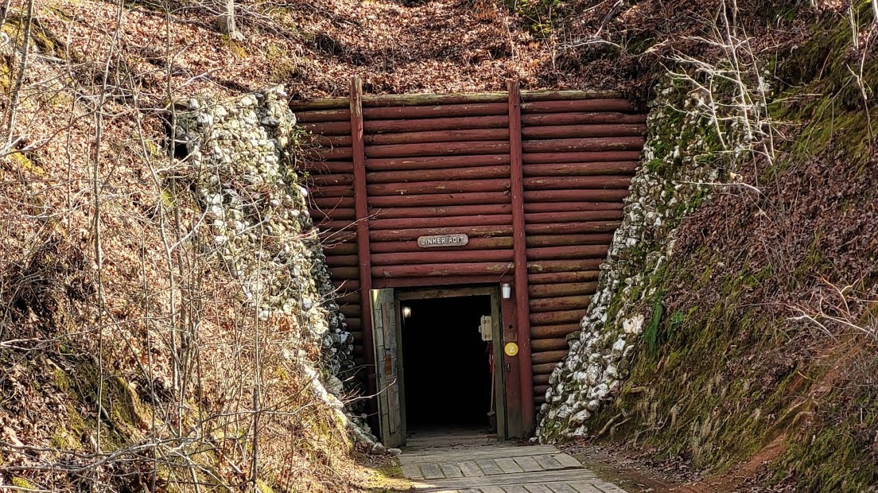 Reed Gold Mine YouTube