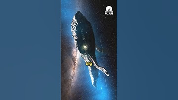 Who Made Oumuamua? - The First Interstellar Visitors