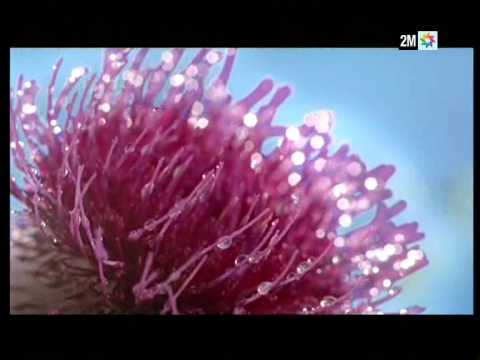 Nivea Spot April 2011 Mp4 