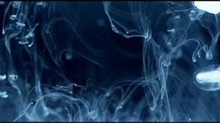 (Part One) Be Your Soul - The Emptys Response