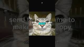 Highly Memes From The Internet