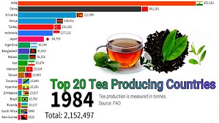 Top 20 Tea Producing Countries || Top 20 Tea Production Countries ||