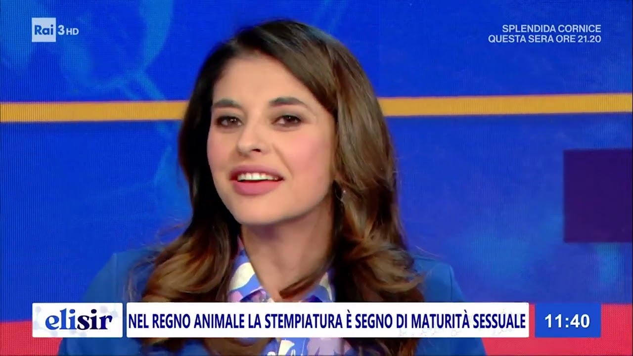 Elisir | RAI 3 | UNIVR Dermatologia e Venerologia - prof  Gisondi