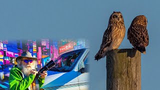 The Owls of Amherst Island.  Five days van camping around the Island in search of  wintering owls.