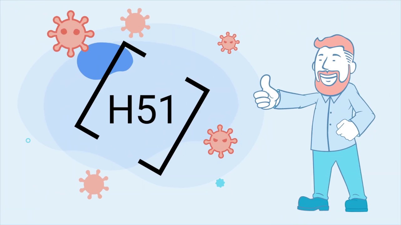 АНИМАЦИОННОЕ ВИДЕО by KIWI STUDIO / 2D ANIMATION VIDEO