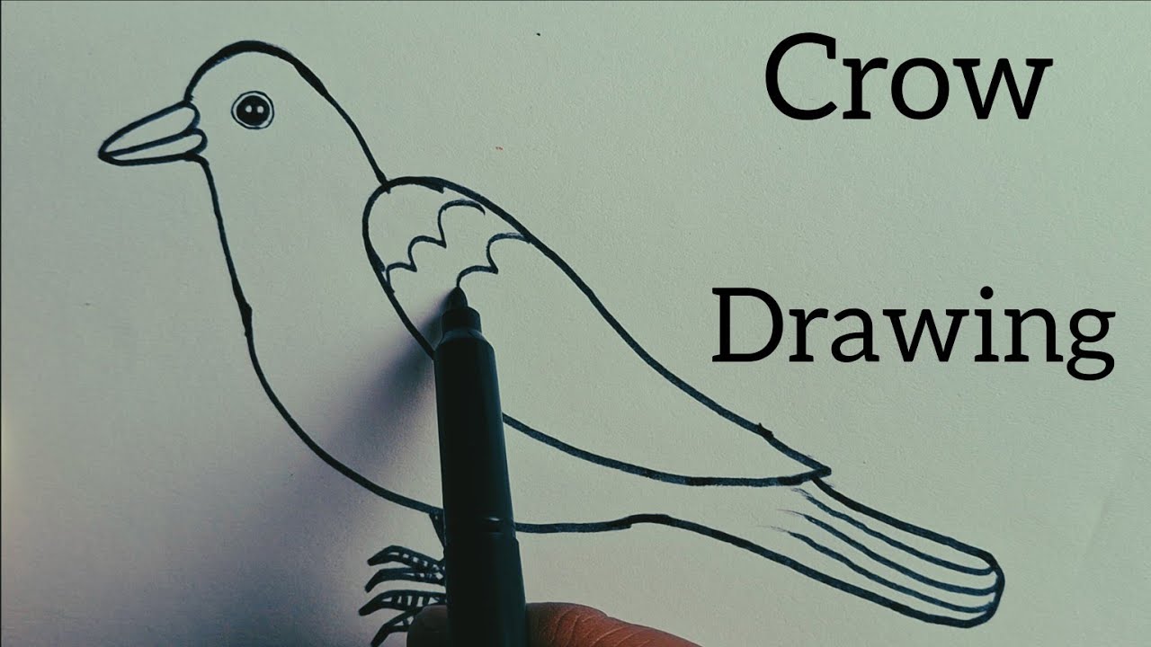 How to draw crow easy step by step for kids!!easy crow drawing step by step