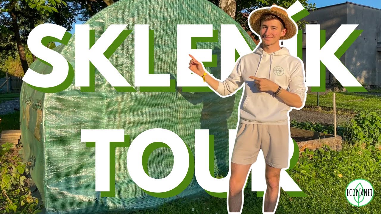 Co právě sázím? | Moje jedlá zahrada 2025🌱🍅🌶️