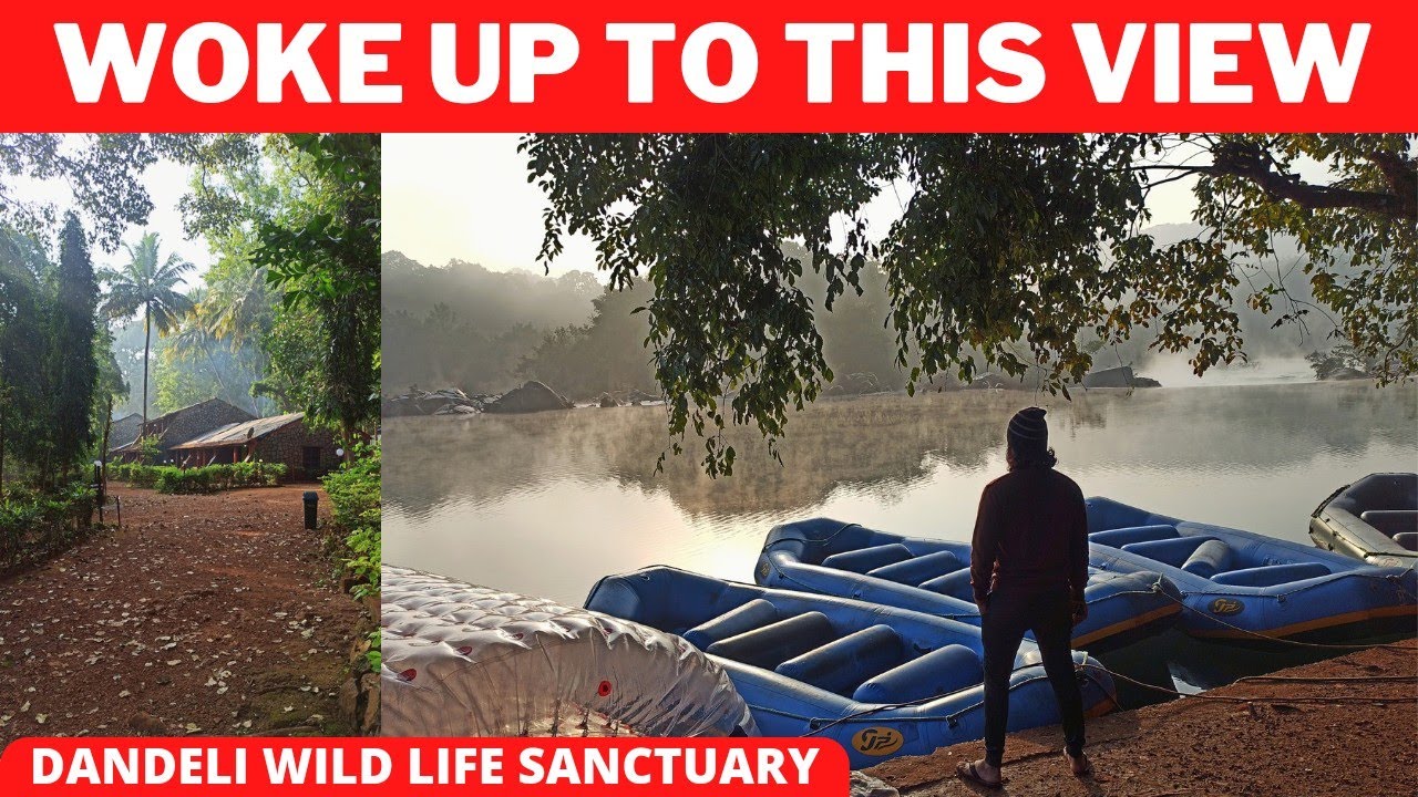 THE BISON RIVER RESORT - DANDELI