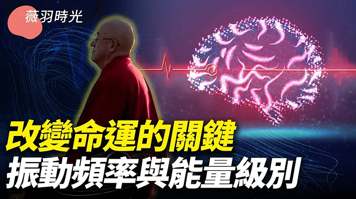 你在哪個能量級別？「物以類聚、人以群分」，原來這句話的背後包含很深的科學道理；提升能量級別和振動頻率的方法。｜薇羽時光 第95期 - 天天要聞