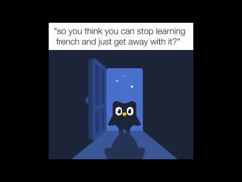 You Missed Your Duolingo Lesson Dankmeme Compilation Youtube - go back to duolingo and try that again roblox memes