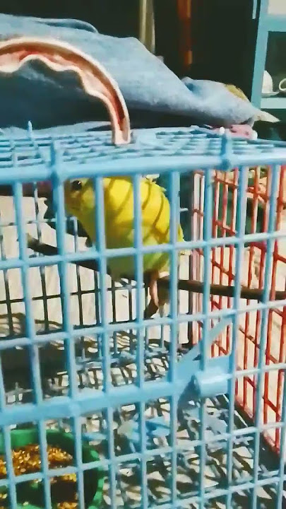 🥰🥰🥰