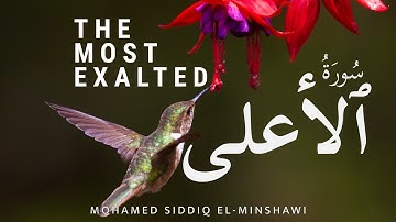 Sūrat al-Aʻlā | Mohamed Siddiq El-Minshawi | Chapter 87 | سورة ٱلأعلى