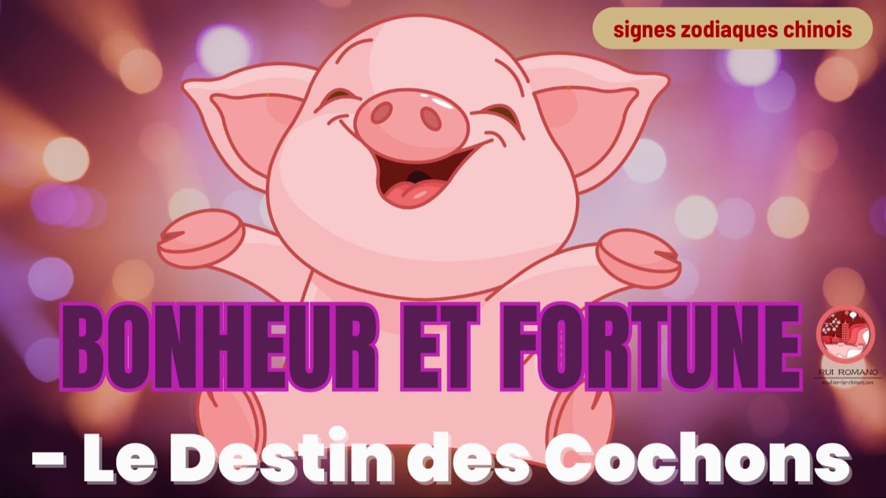 Zodiaques chinois - Cochon - Bonheur et fortune