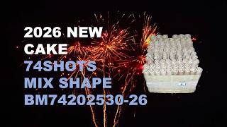2026 NEW BM74202530-26 20*25*175&25*30*175&30*36*175MM 74SHOTS MIX SHAPE F3 CAKE
