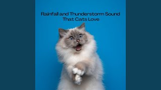 Delightful Rainfall and Thunderstorm Sound for Cats