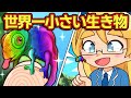 世界一小さい生き物4選 アニメ マンガ 世界一小さい生き物4選 アニメ マンガ