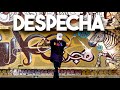 Despecha merengue by rosalia  kid crew remix  zumba  merengue  kramer pastrana