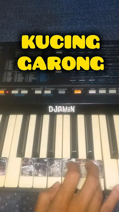 Basuri KUCING GARONG #teloletbasuri #coverpiano #kucinggarong #musicalhorn