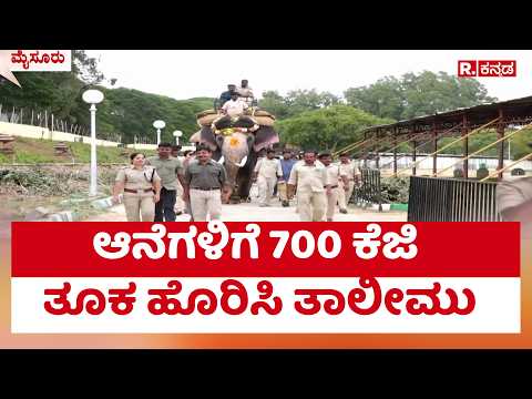 Dasara Elephants : ಆನೆಗಳಿಗೆ 700 ಕೆಜಿ ತೂಕ ಹೊರಿಸಿ ತಾಲೀಮು | Mysuru