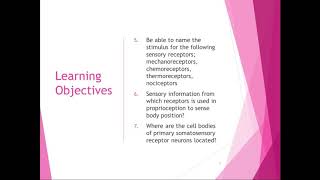 Chapter 10 Lecture Part 1 Peripheral Sensory Receptors