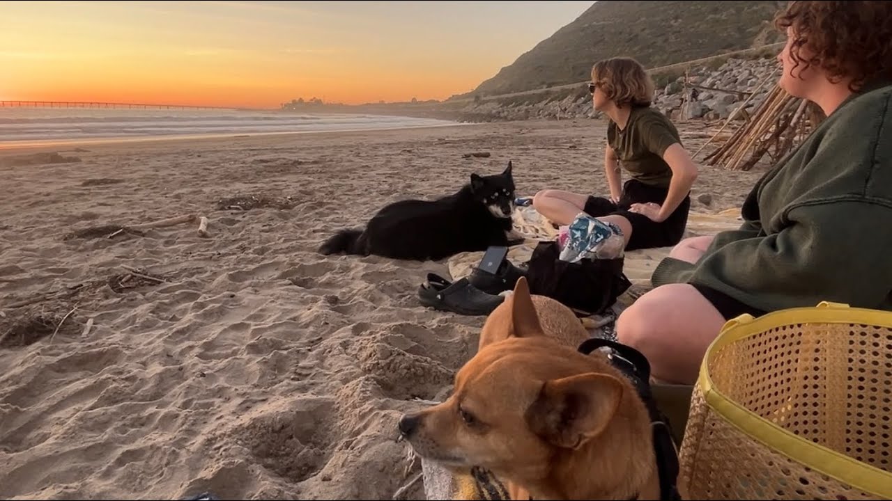 A Quiet Ventura Beach only the Locals Know About! Escape to the Ocean!