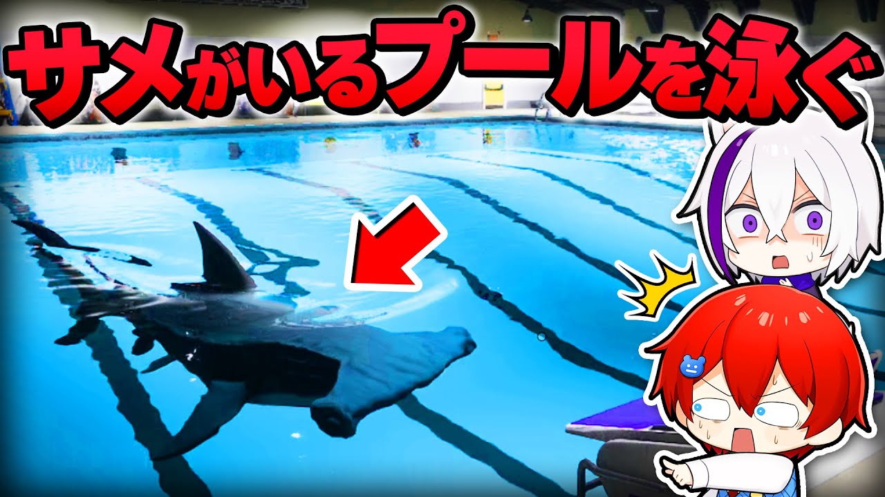 巨大な殺人サメがいるプールに閉じ込められました。助けてください...🦈【Sharks and Minnows】よろずや🍭