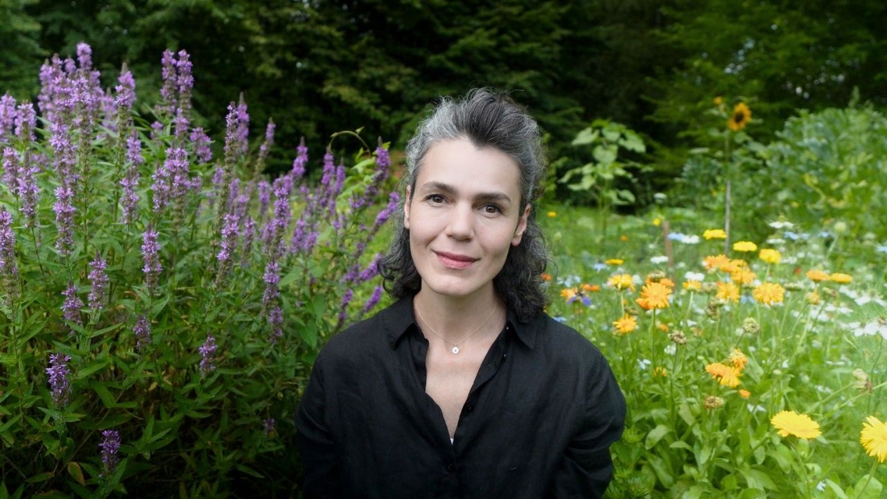 Co u nas? Co u kotków? Jak remont? Odpowiadam! | Deszczowe lato | Spacer po ogrodzie w lipcu