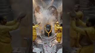 Shiv Divya Darshan 🔱 | Har Har Mahadev 🙏 | Bholenath Ka Adbhut Darshan #mahadev #shiv