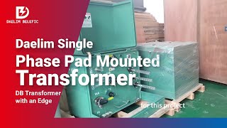 Daelim Single Phase Pad Mounted Transformer | Daelim Transformer