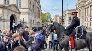 BOSS Surprise Thousands of Tourist as he Rides Majestically Through the Streets of London by The King's Guards and Horse UK 84,173 views 2 weeks ago 13 minutes, 46 seconds