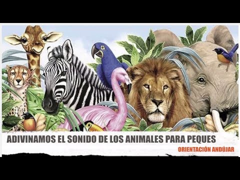 Adivinamos el sonido de los animales para niños - YouTube