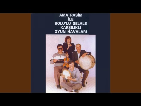 Ereğli'den Gelirken