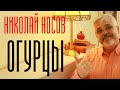 НИКОЛАЙ НОСОВ ОГУРЦЫ