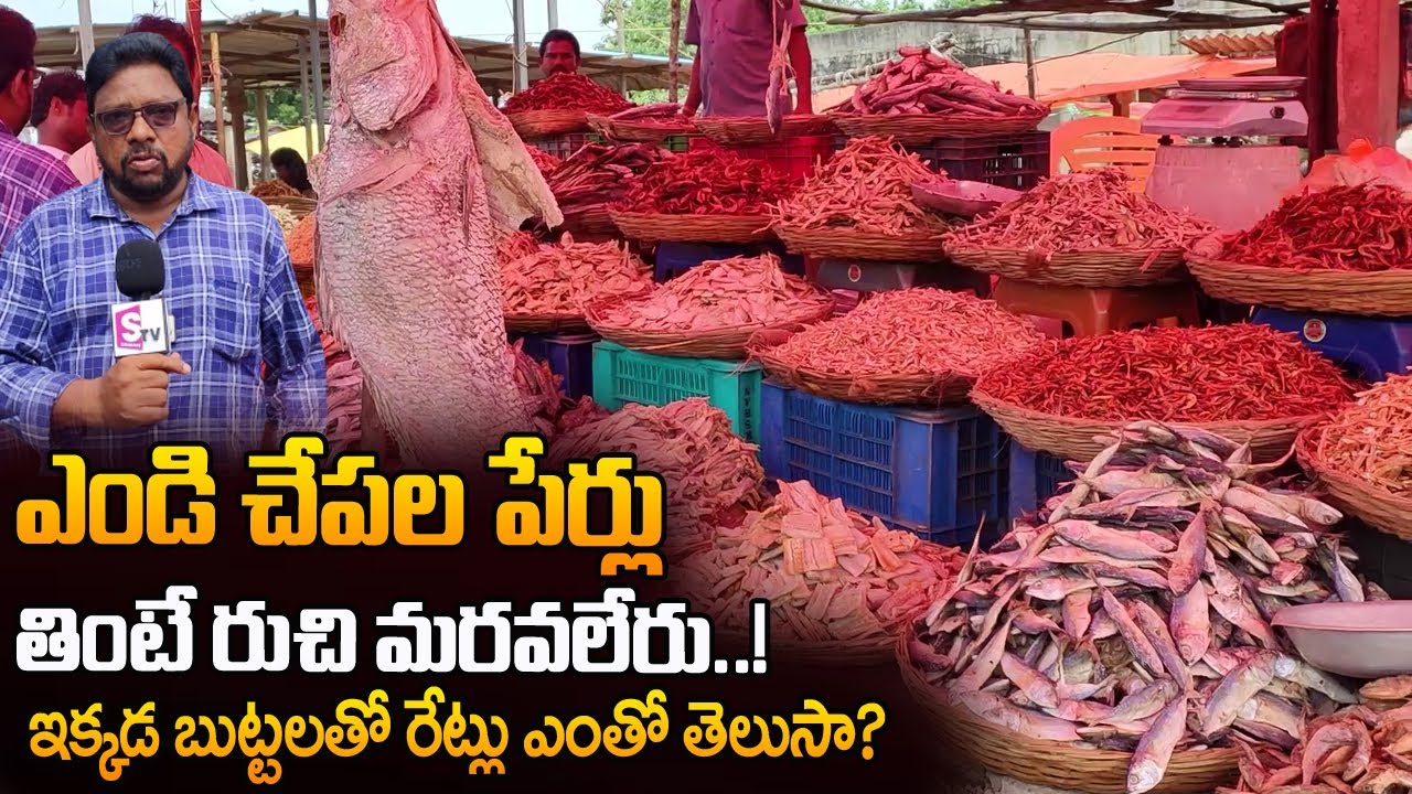 అతిపెద్ద ఎండు చేపల మార్కెట్ Dry Fish Market Variety Dry Fish Available