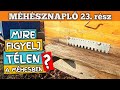 Méhésznapló #23 - Mire figyelj télen a méhesben? 2020