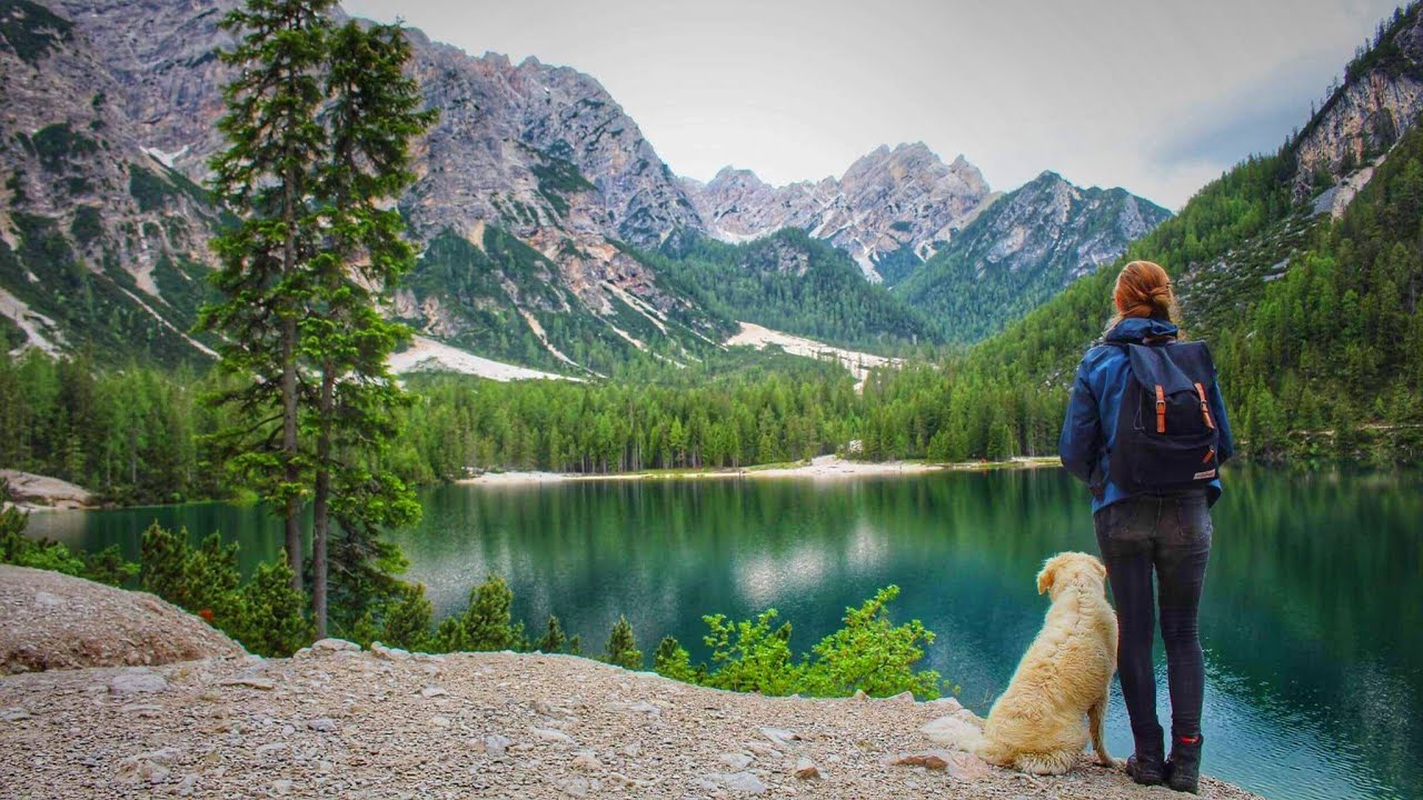 Traveling With Our Dog After Lock down | Dolomites Italy