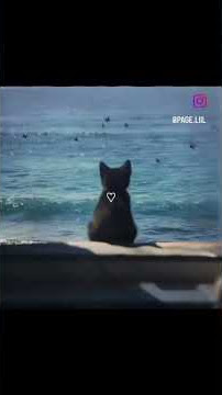 this place is very gorgeous